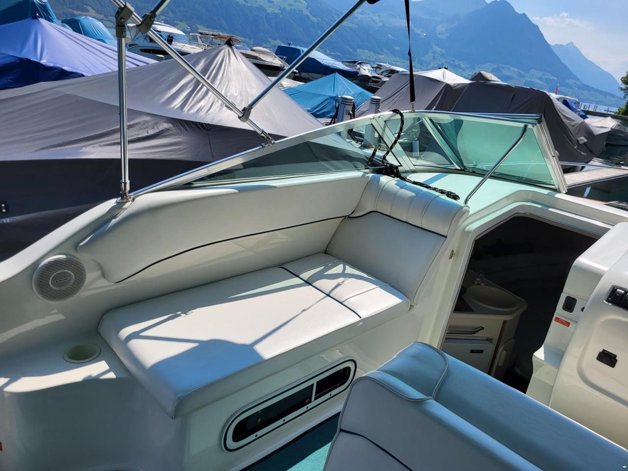 Sea Ray 240 DA Sundancer