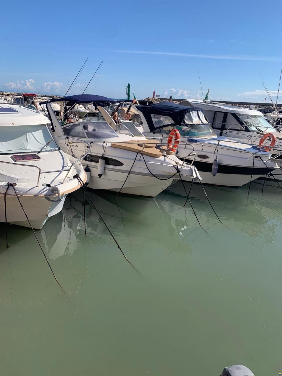 Scarani 24