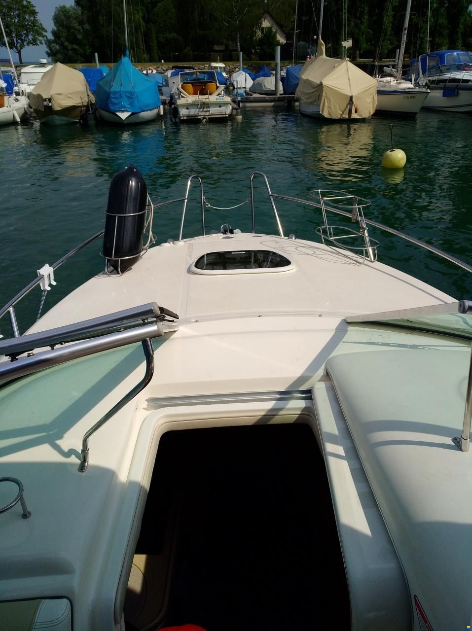 Sea Ray 255 DAE