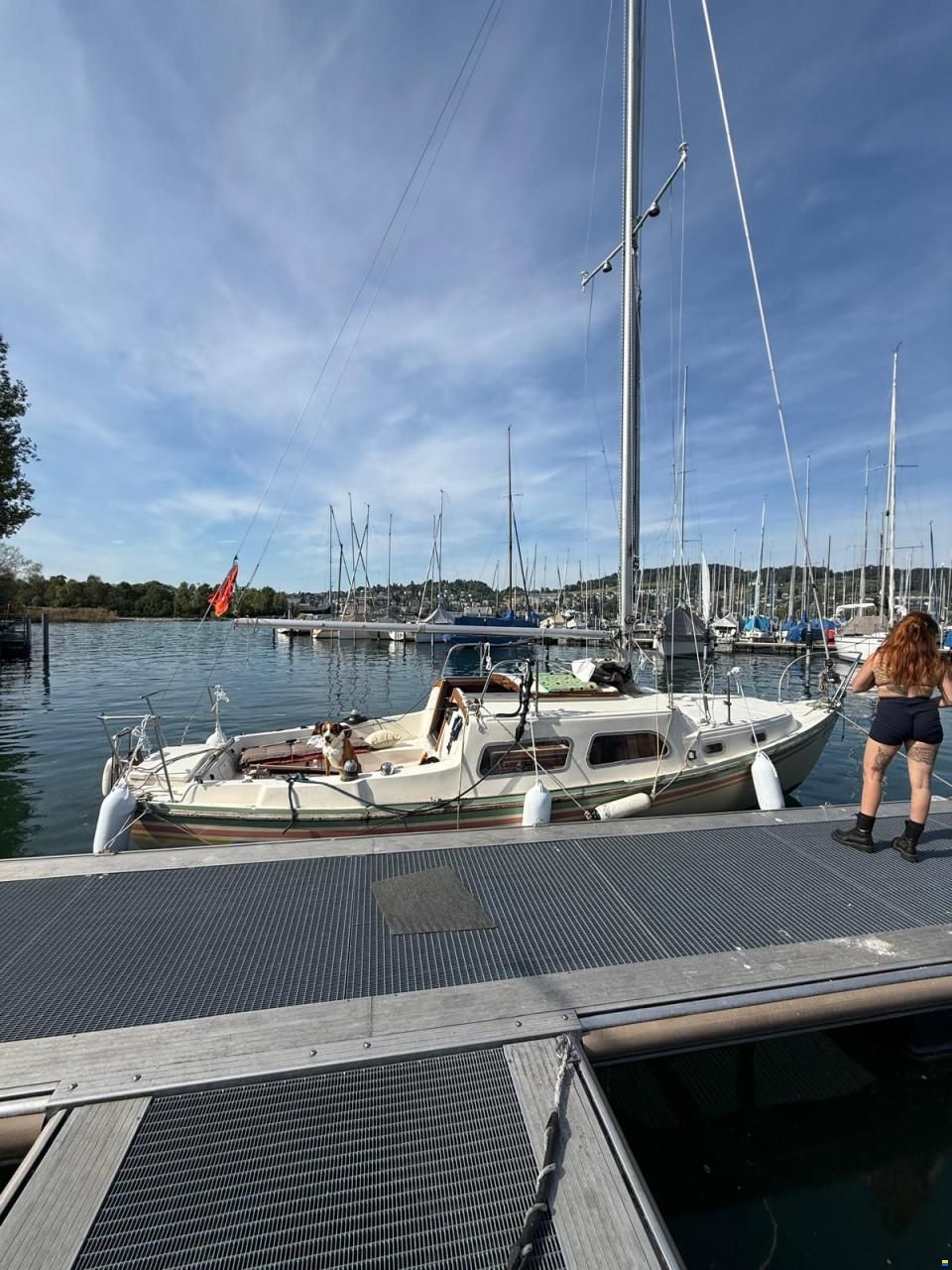 Coronado 25
