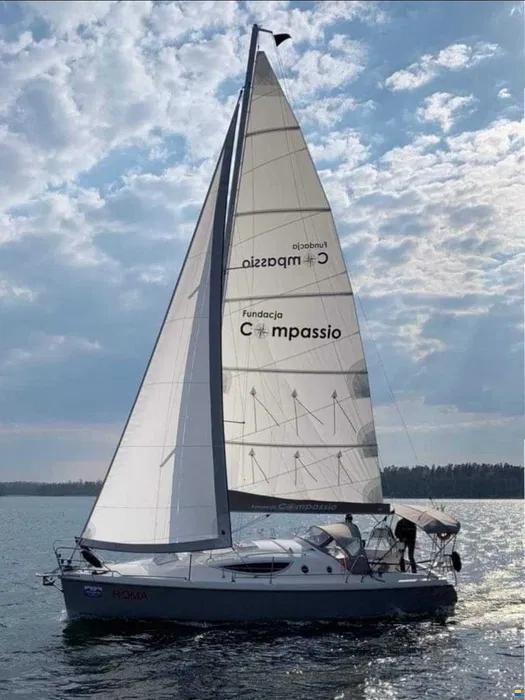 Maxus 33