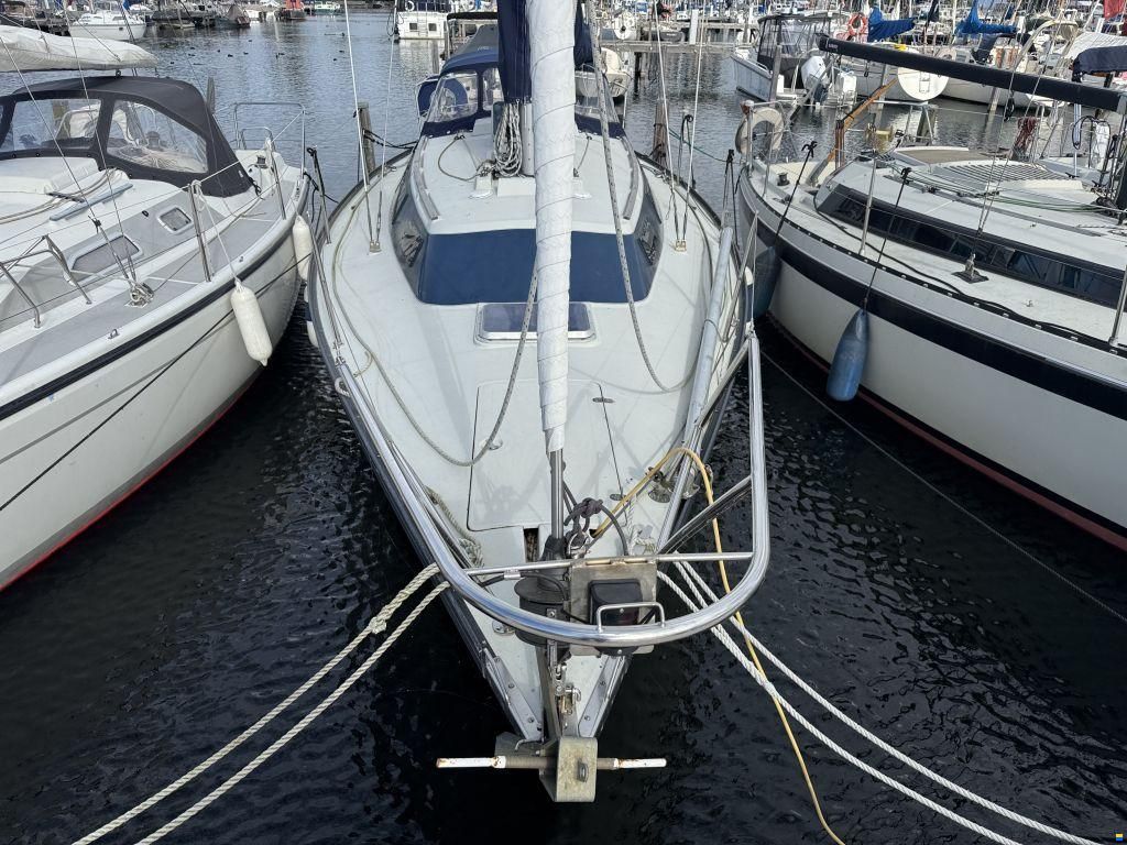 Dufour 29