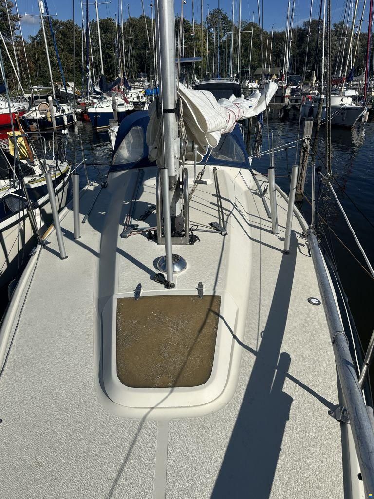 Maxi 84