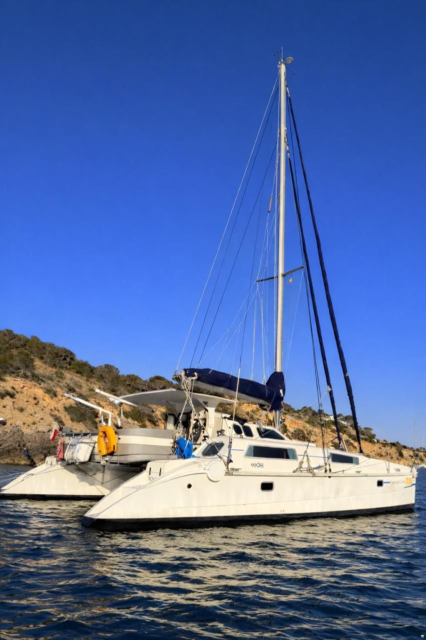 Edel Cat 36