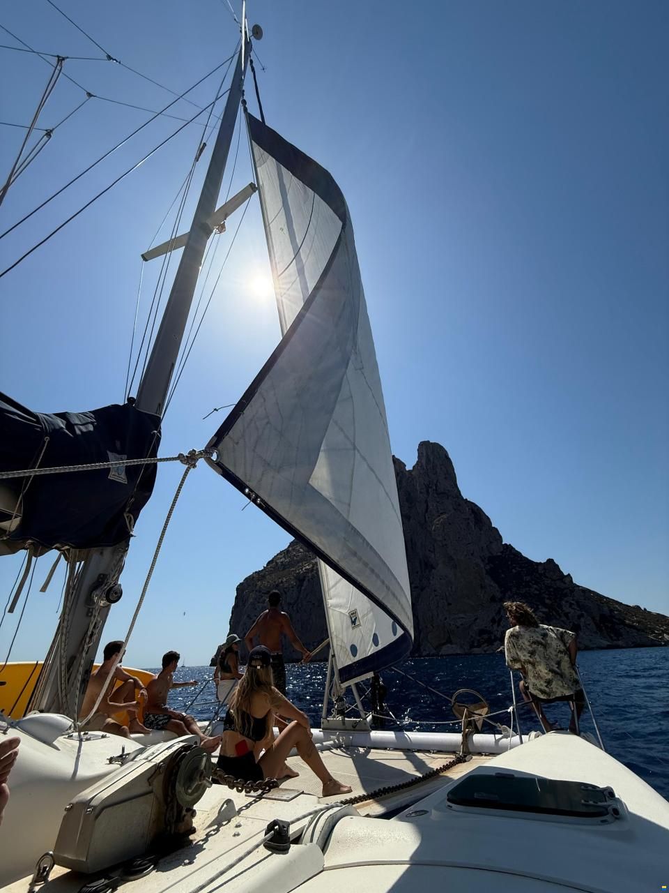 Edel Cat 36