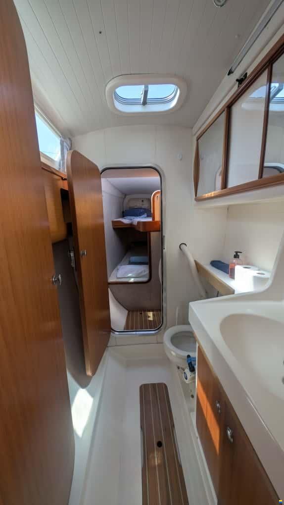 Edel Cat 36