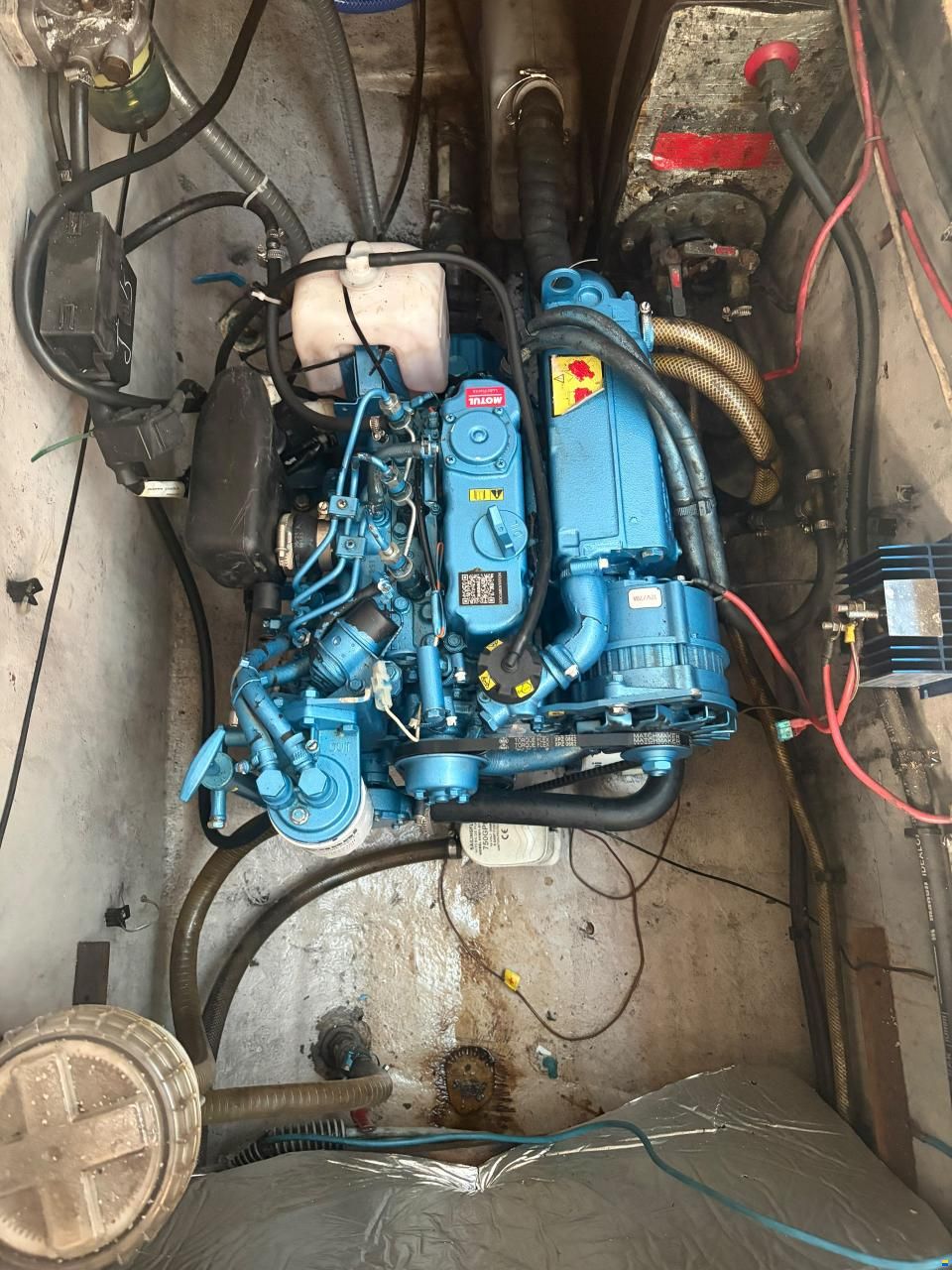 Edel Cat 36