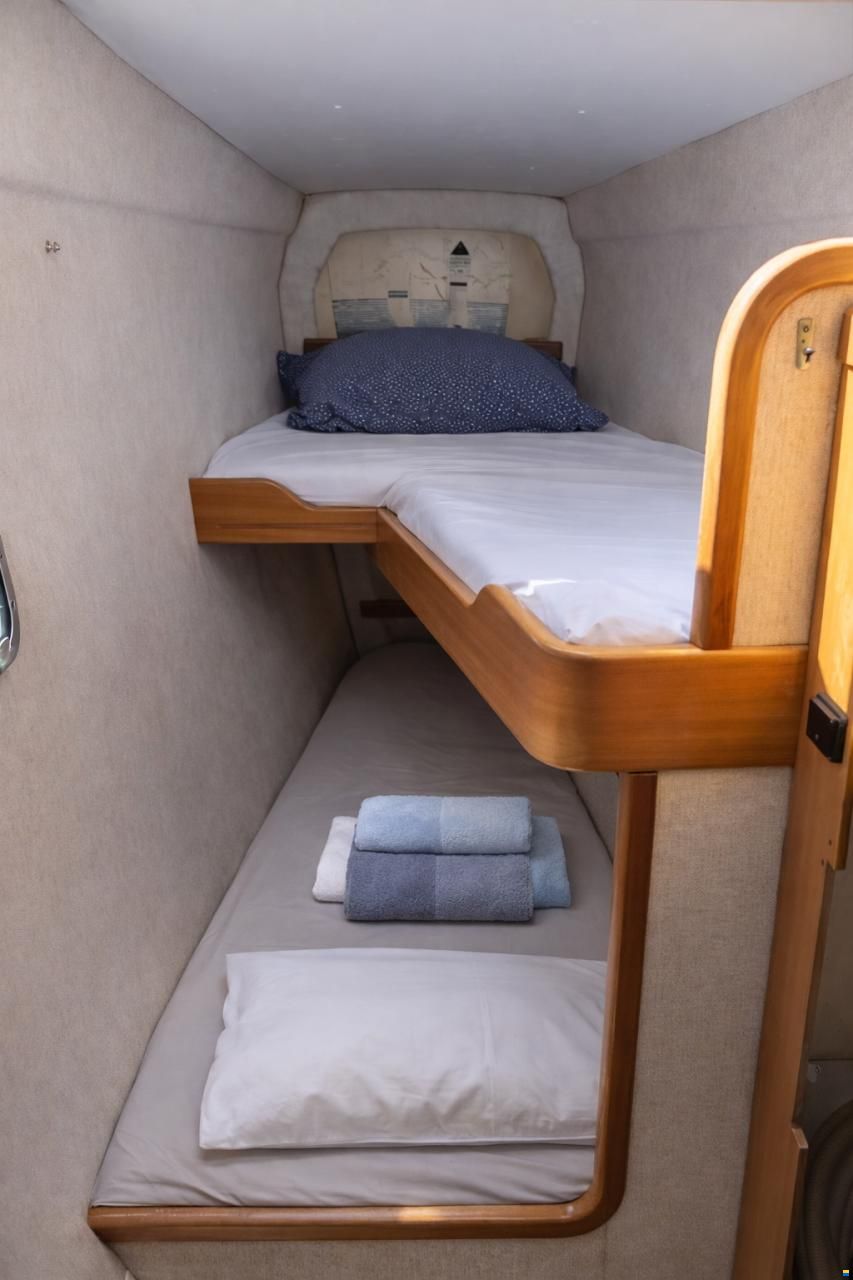 Edel Cat 36