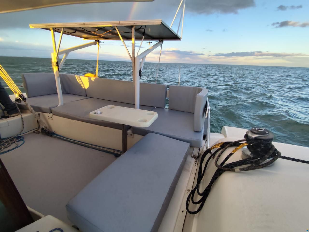 Edel Cat 36