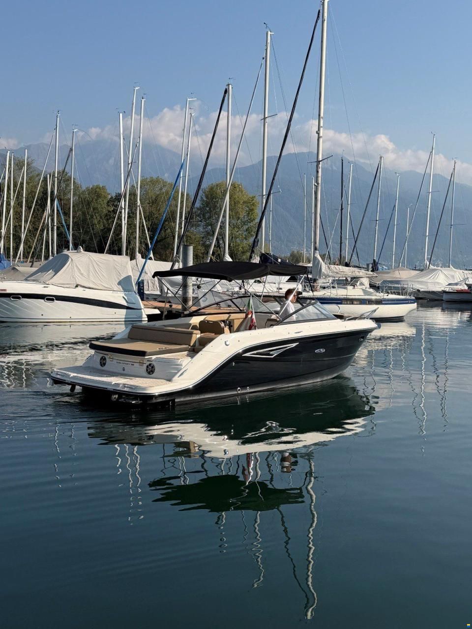 Sea Ray SUNSPORT 250