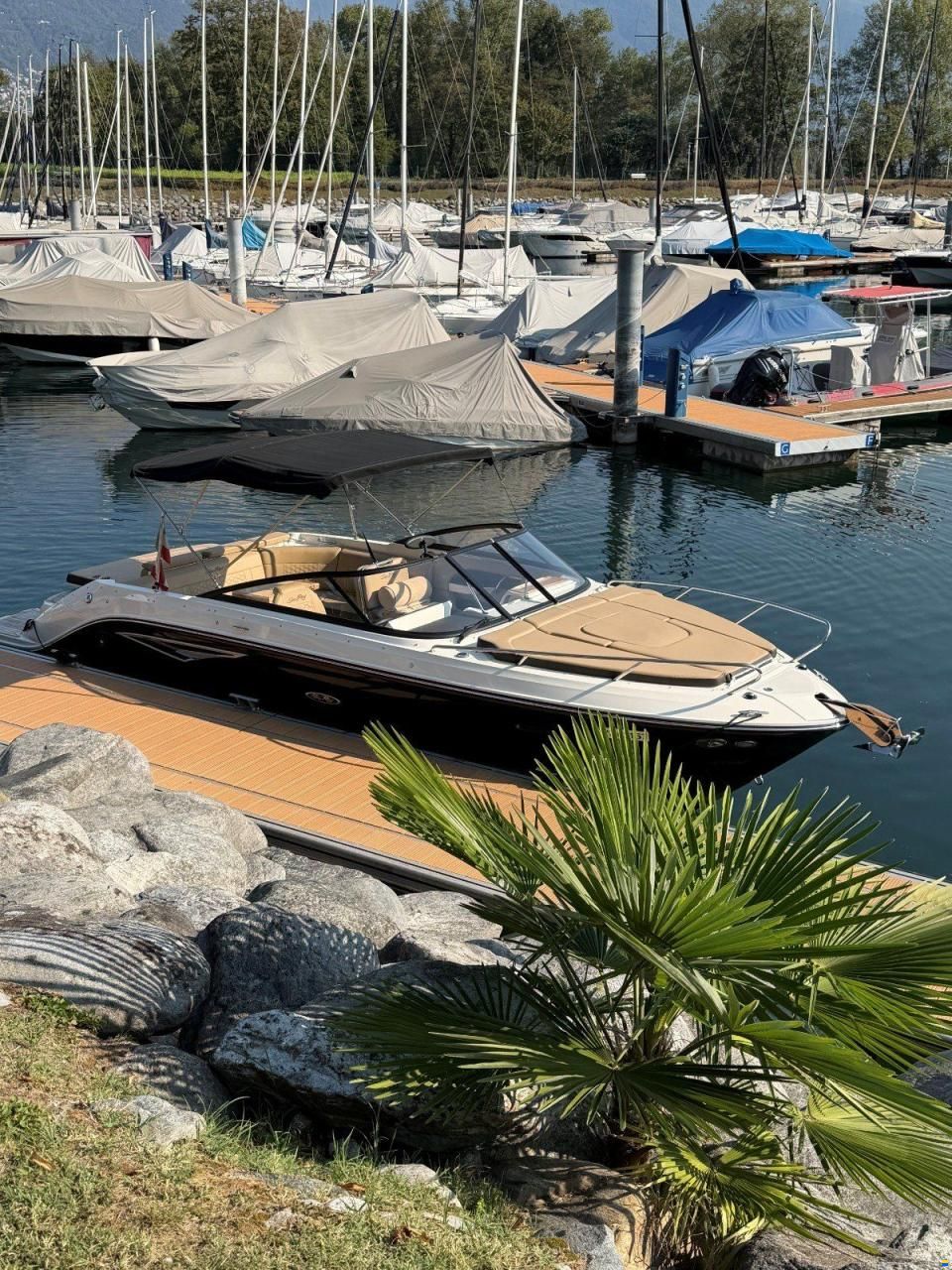 Sea Ray SUNSPORT 250
