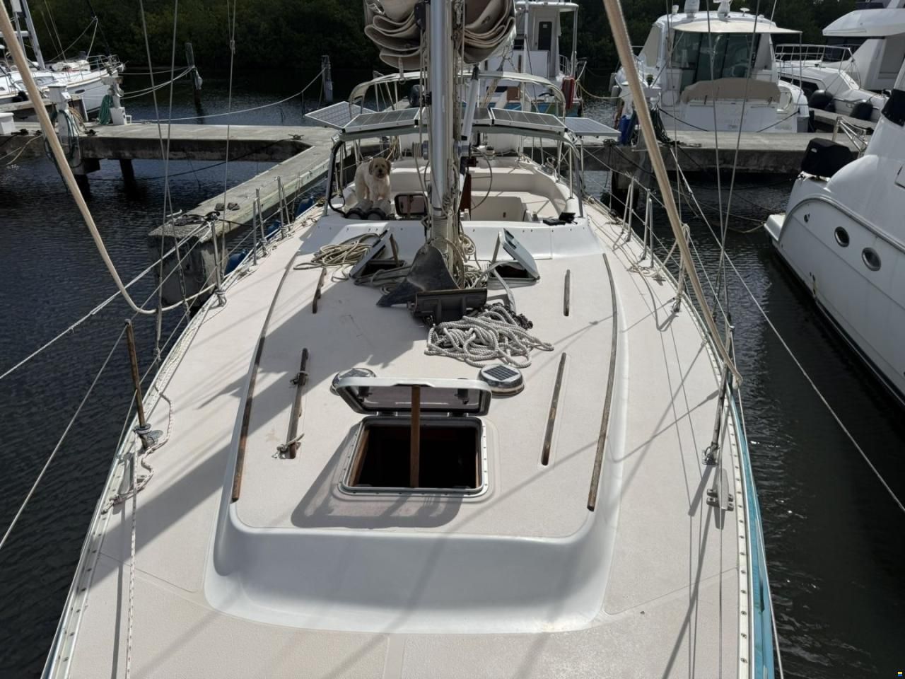 Catalina 41 Morgan Classic