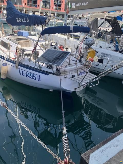 Manta Koala 38