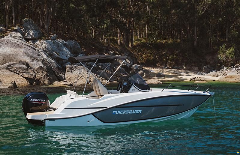 Quicksilver new 625 Open/Mercury 150
