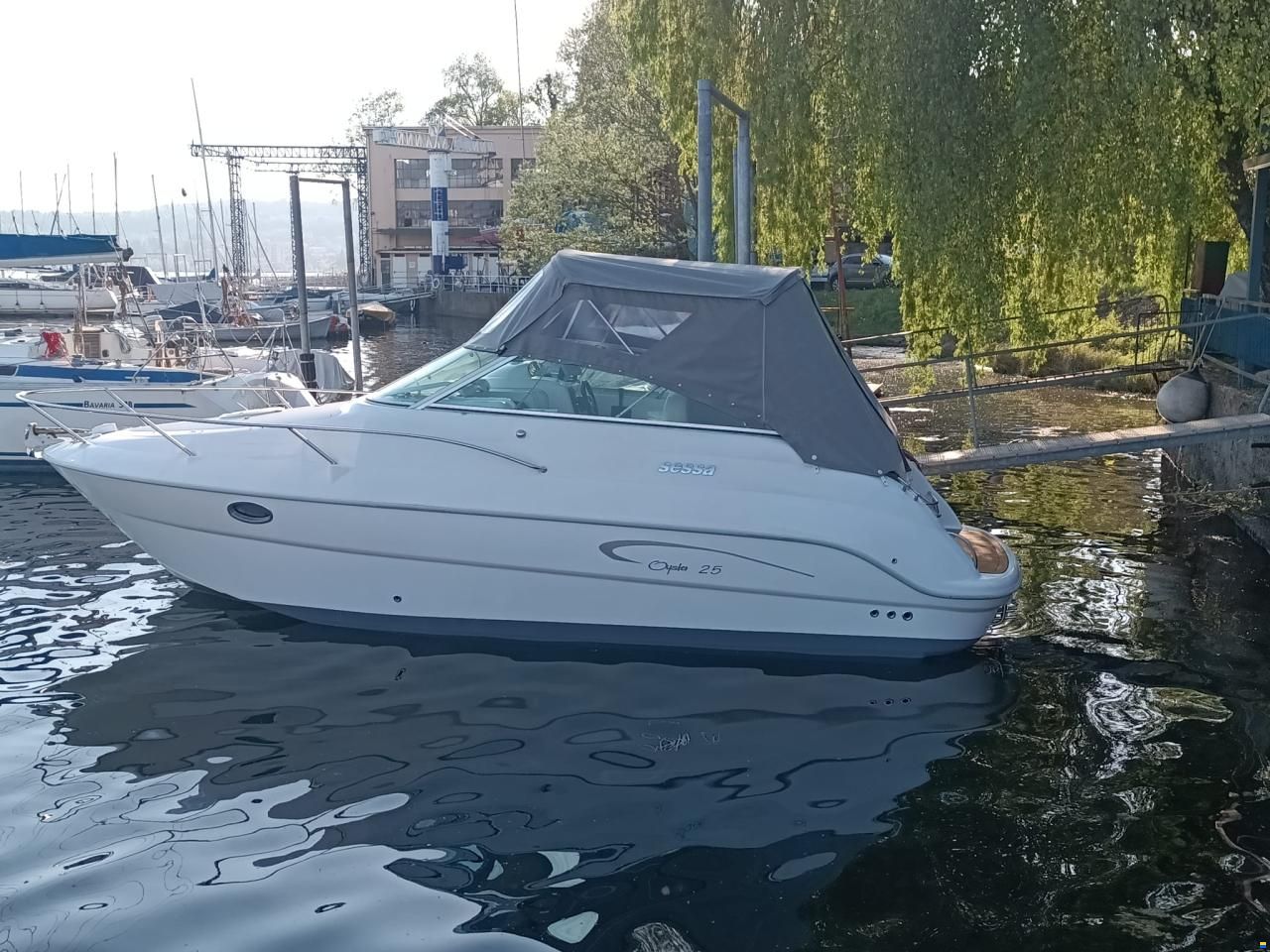 Sessa Oyster 25
