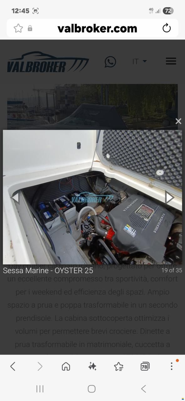 Sessa Oyster 25