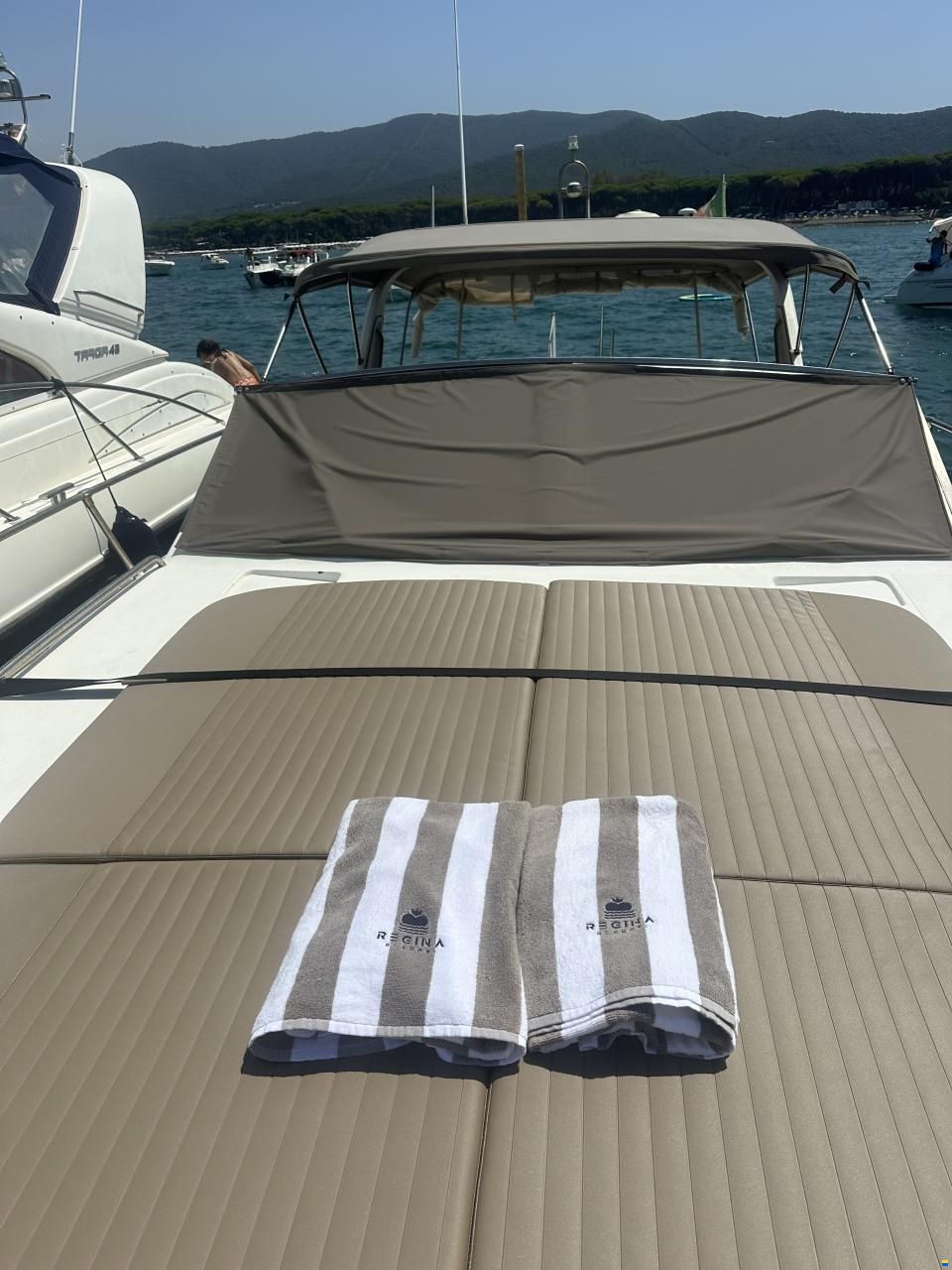 Fiart Genius 36