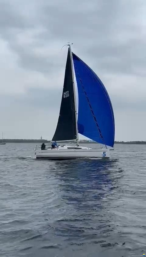 Elan 310
