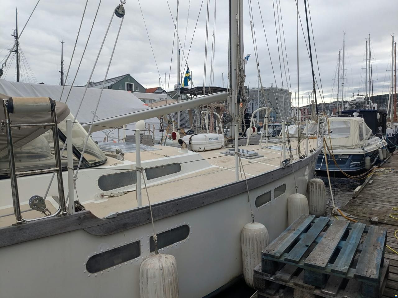 Promovoile / Galapagos 45