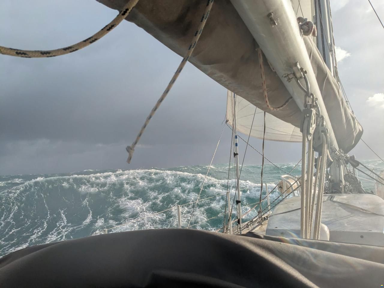 Promovoile / Galapagos 45