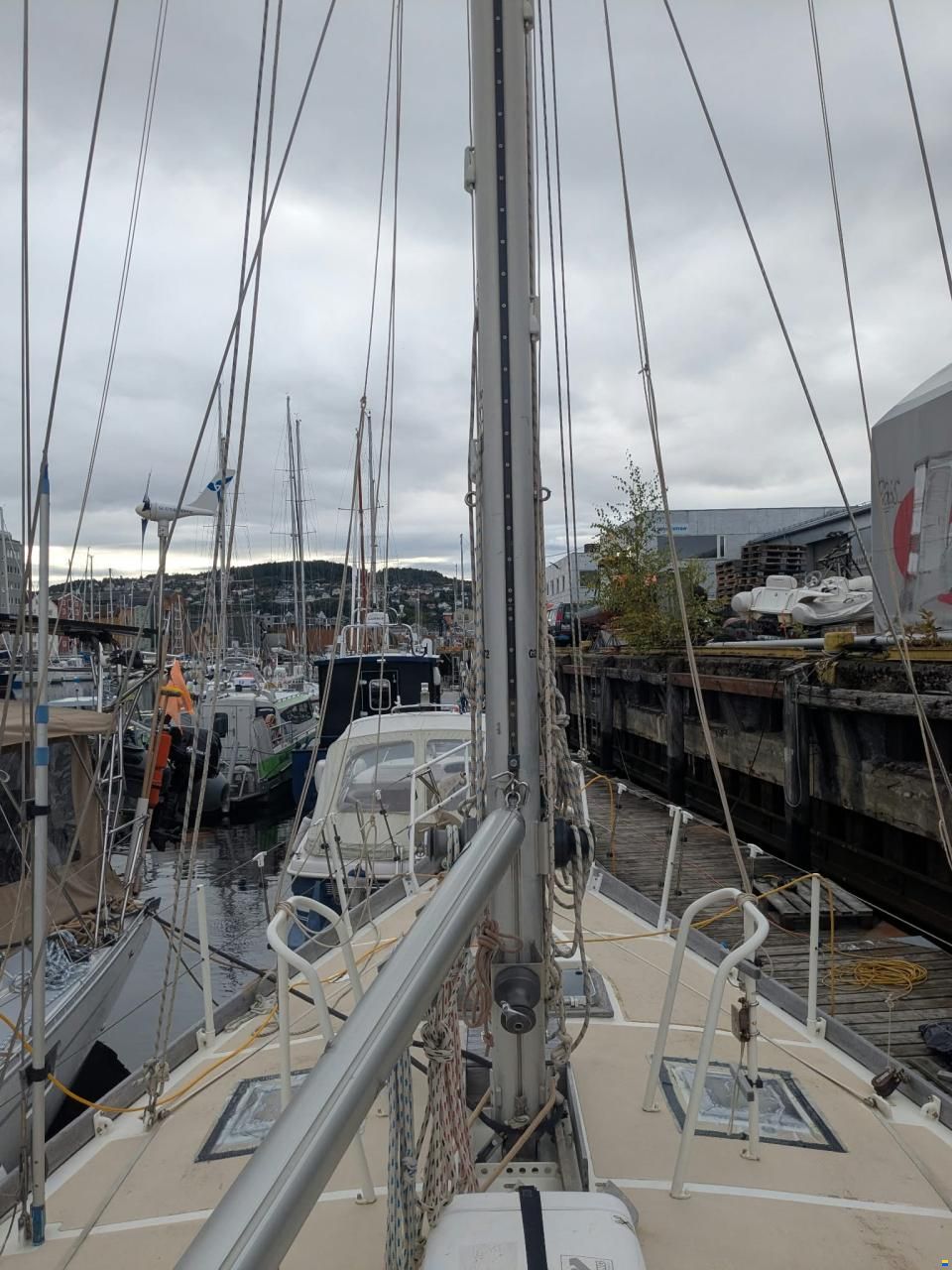 Promovoile / Galapagos 45