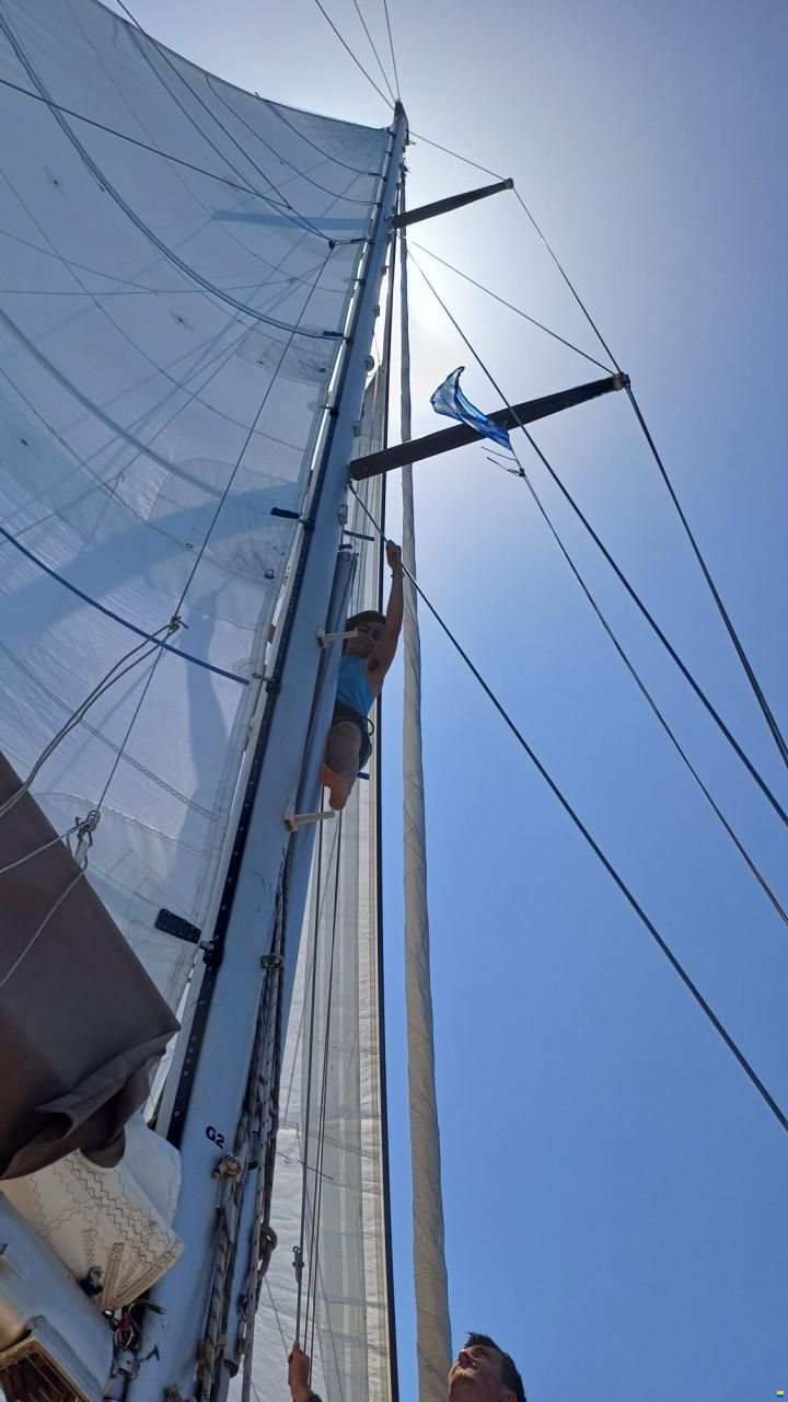 Promovoile / Galapagos 45