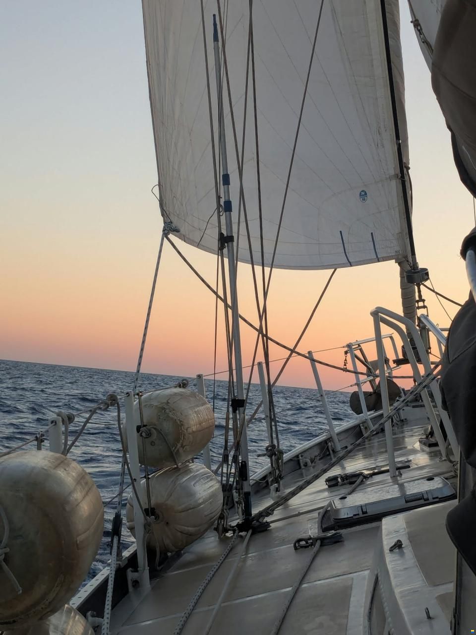 Promovoile / Galapagos 45