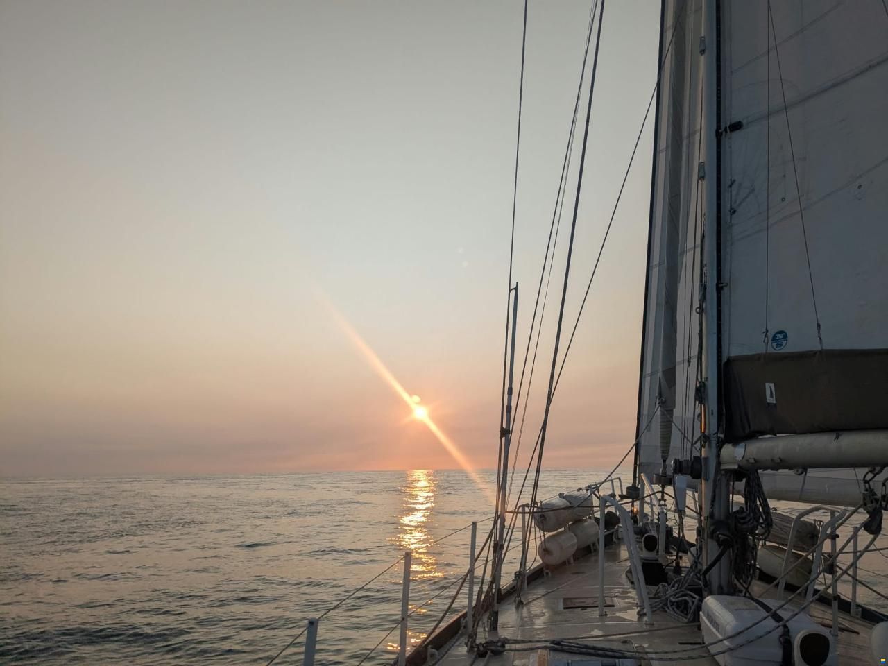 Promovoile / Galapagos 45