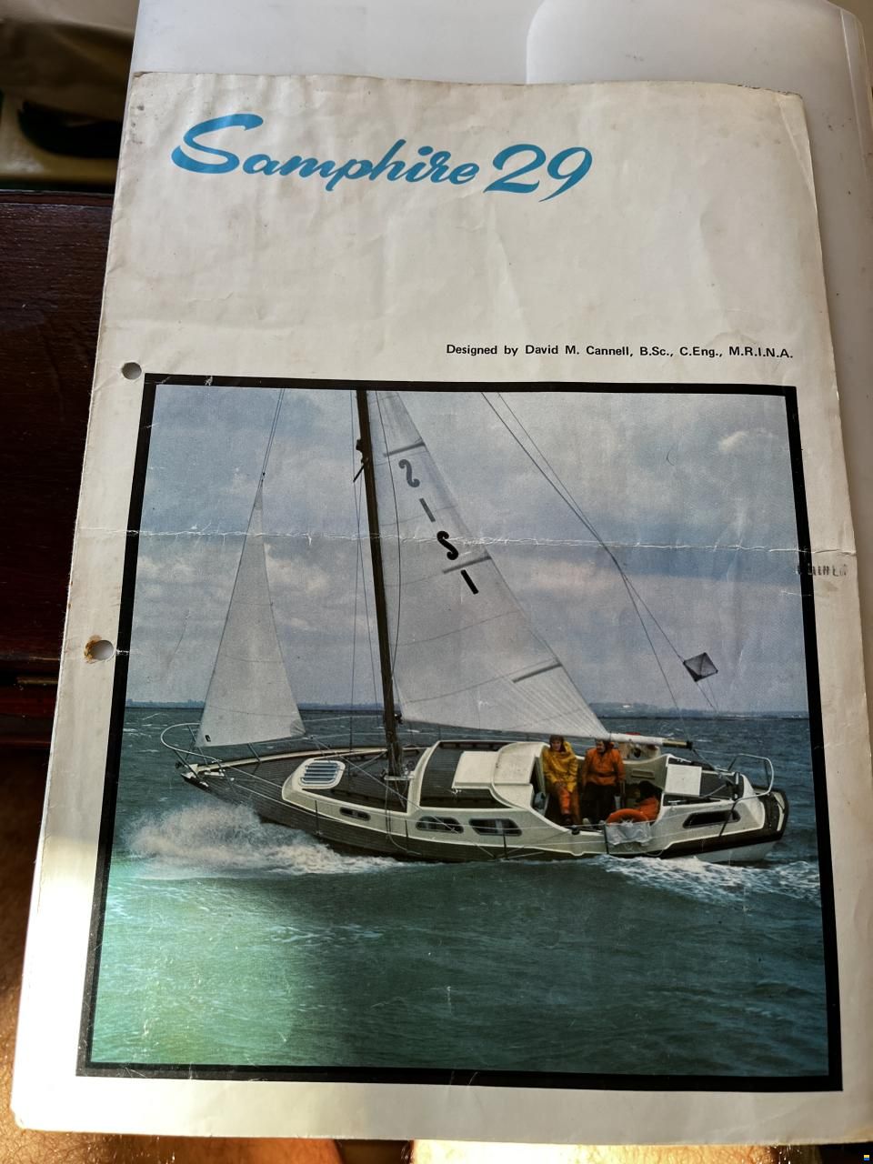 Samphire 29