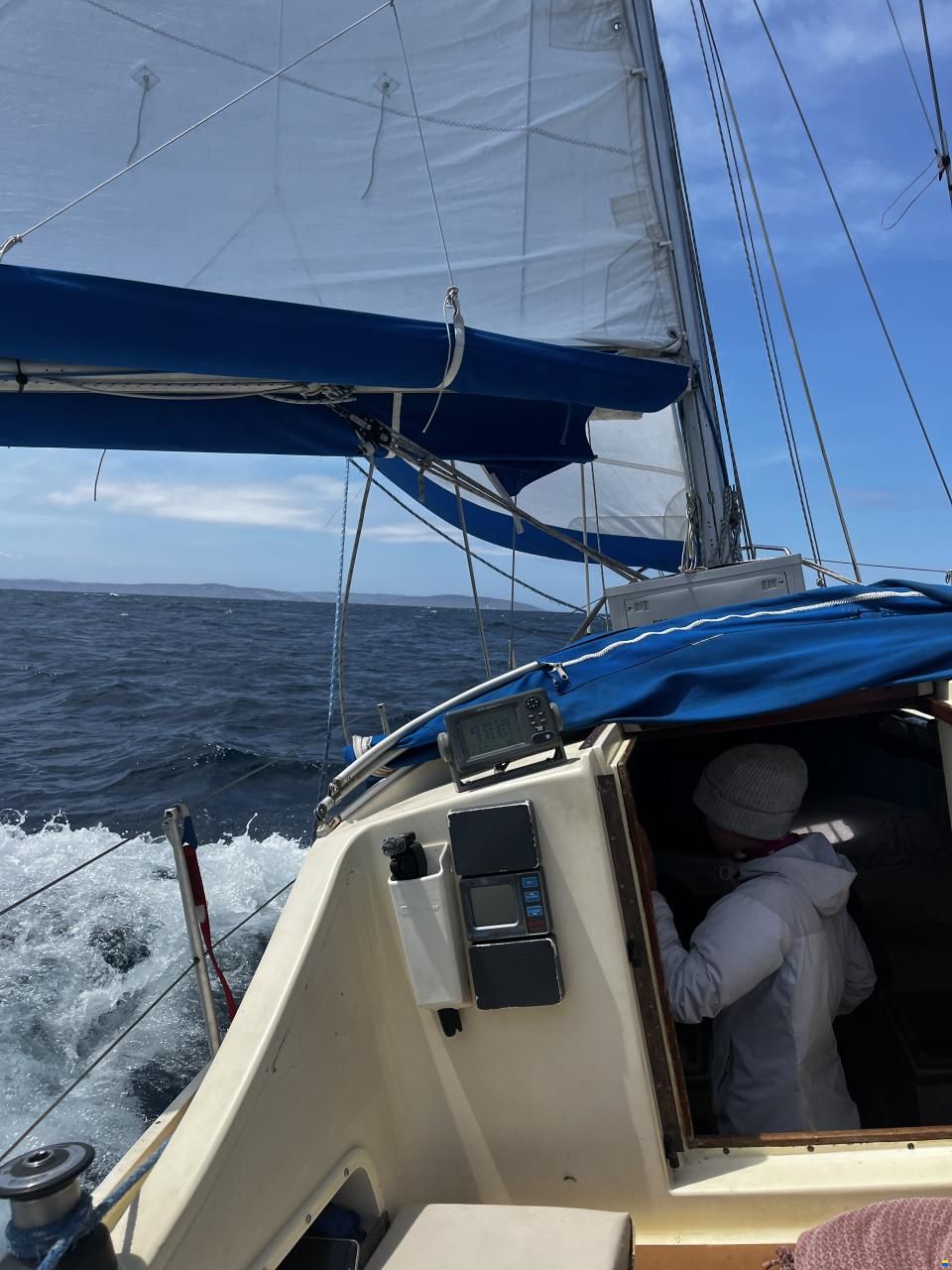 Samphire 29