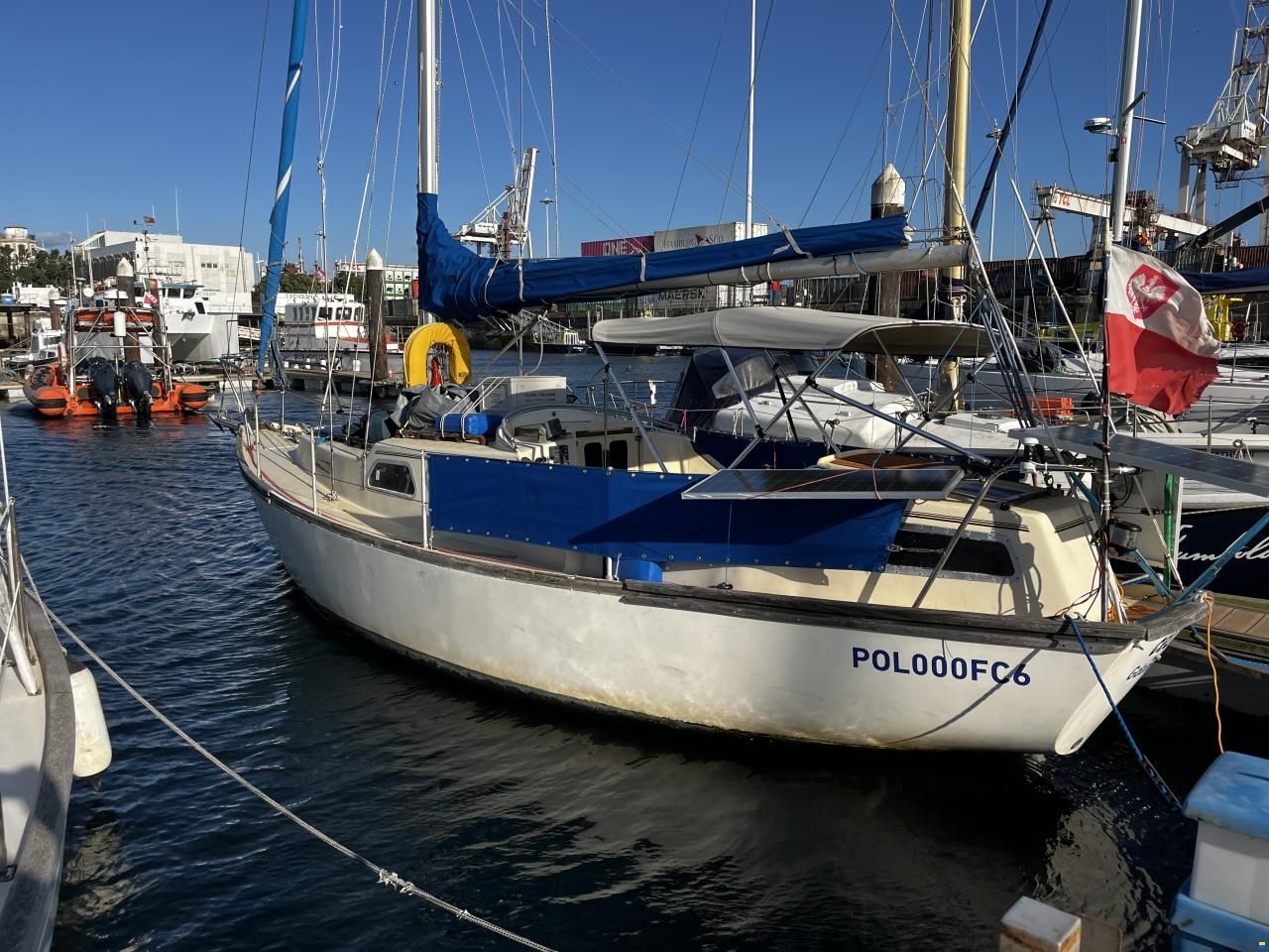 Samphire 29