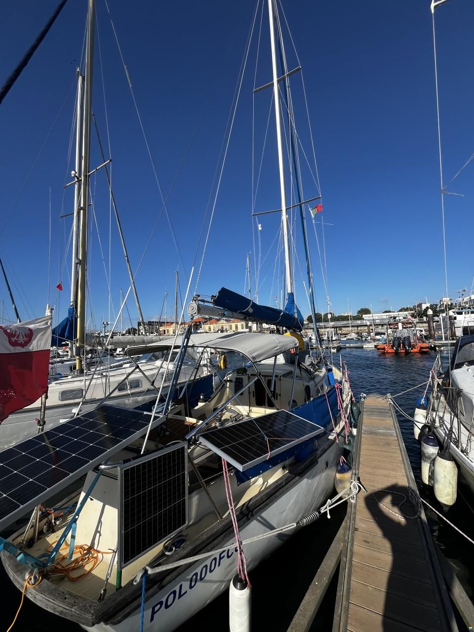 Samphire 29