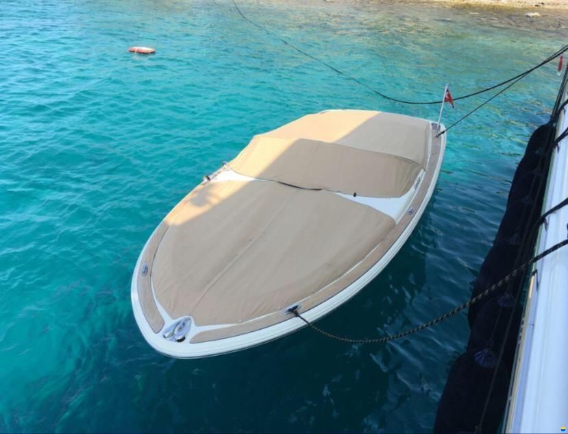 Chris Craft Launch 22
