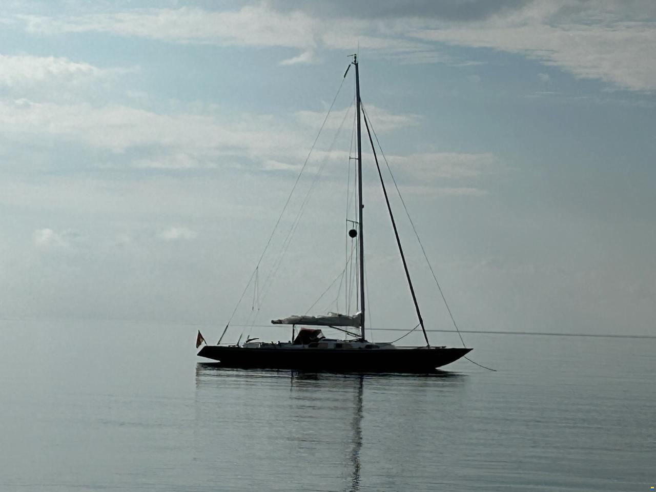 Scandinavia Lotus S40
