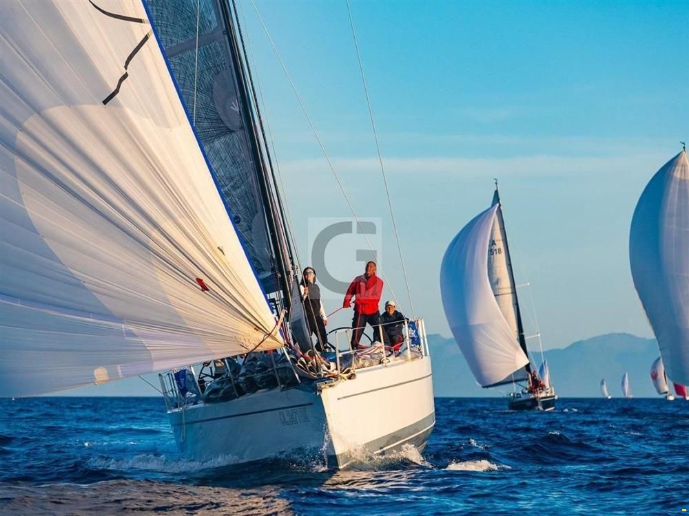 Vismara V50 Sport