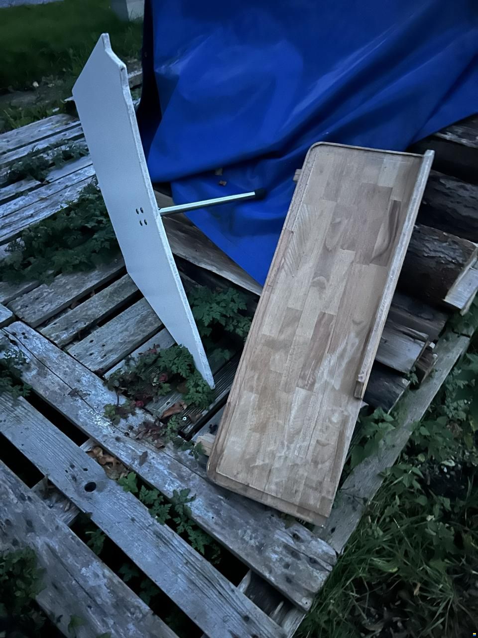 Selva Cabin 6.5