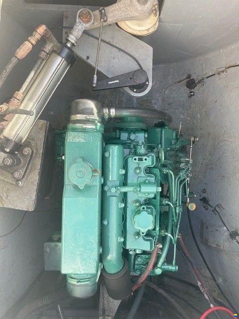 Edel Cat 43