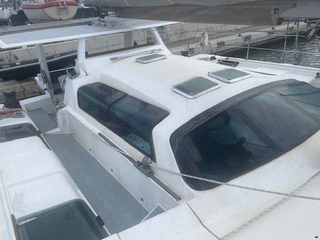 Edel Cat 43