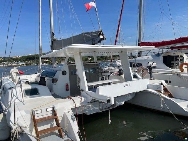 Edel Cat 43
