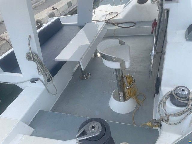 Edel Cat 43