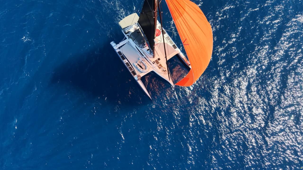 Dragonfly 36 ft Performance Model