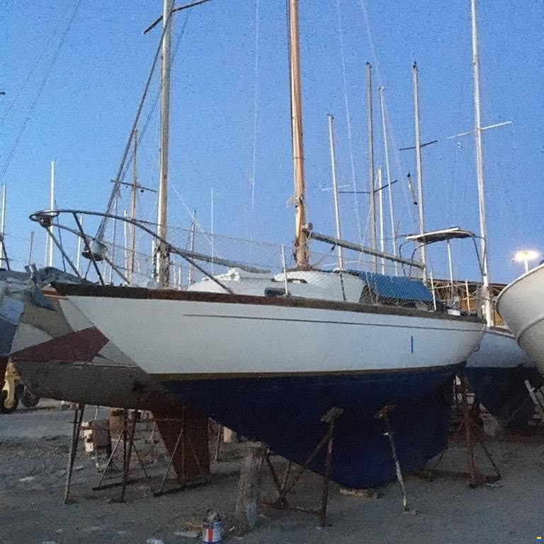 Camper & Nicholsons 26
