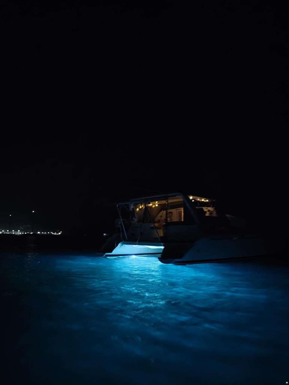 Leopard 38 - Owner’s Version
