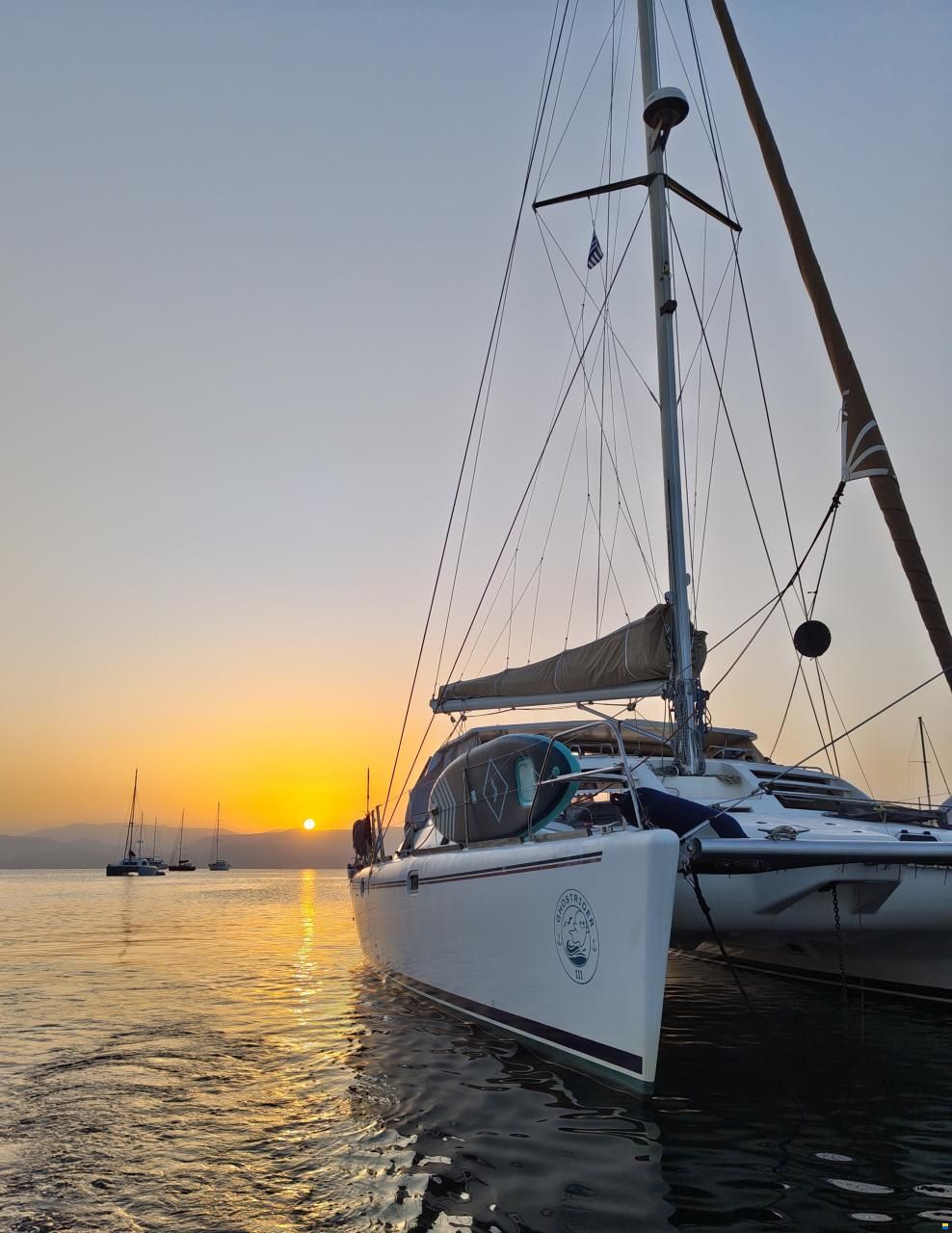 Leopard 38