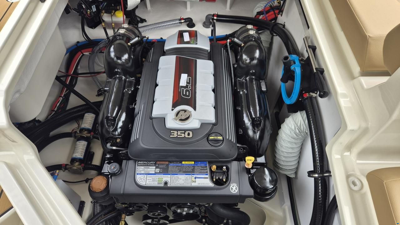 Sea Ray SDX 250 Surf Europe