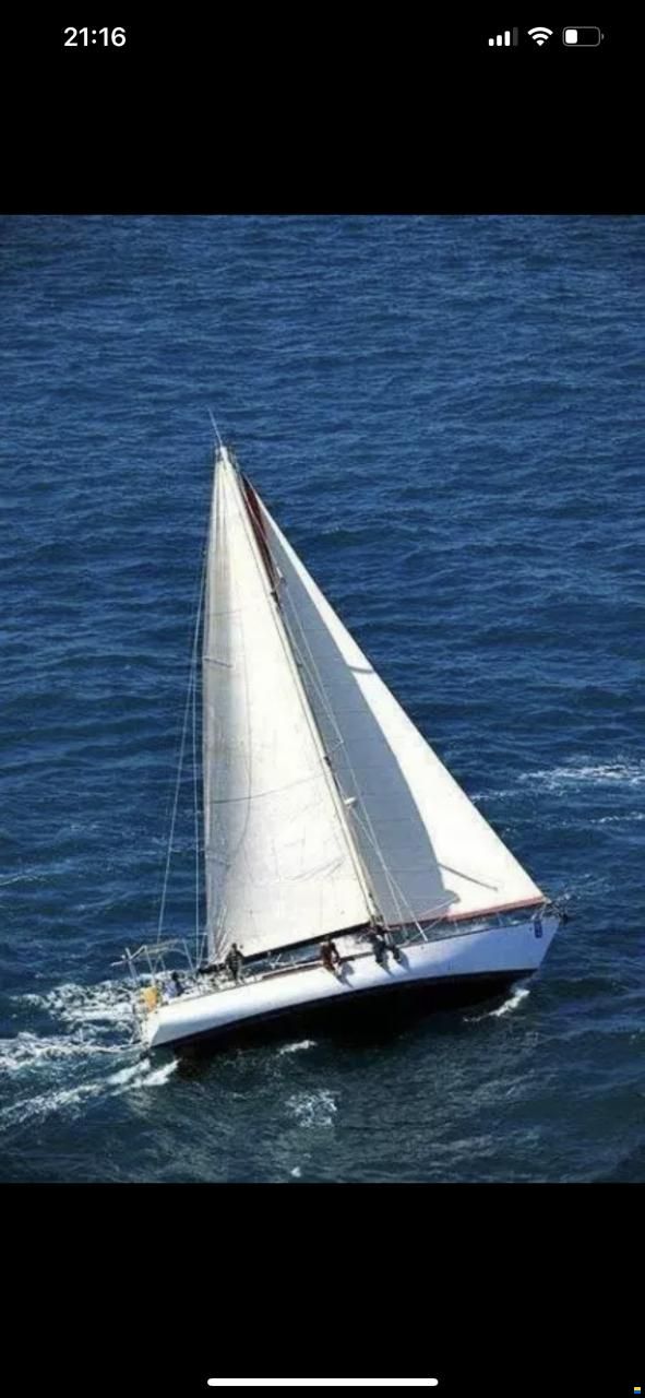 Ambrosi Sciarelli 50
