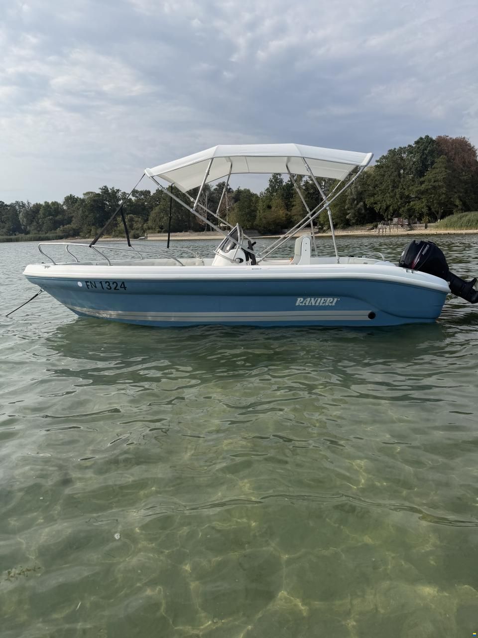 Ranieri Shark 17