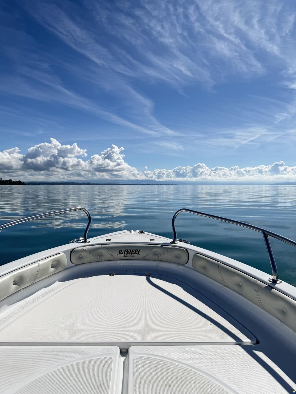Ranieri Shark 17
