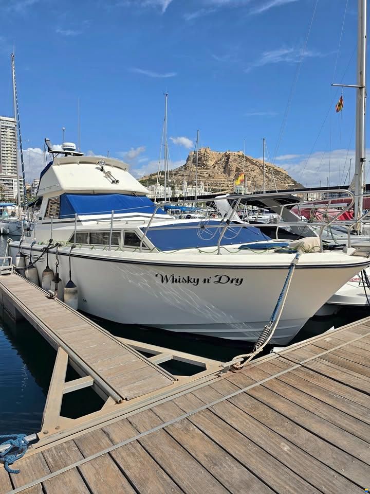 Princess 33 flybridge