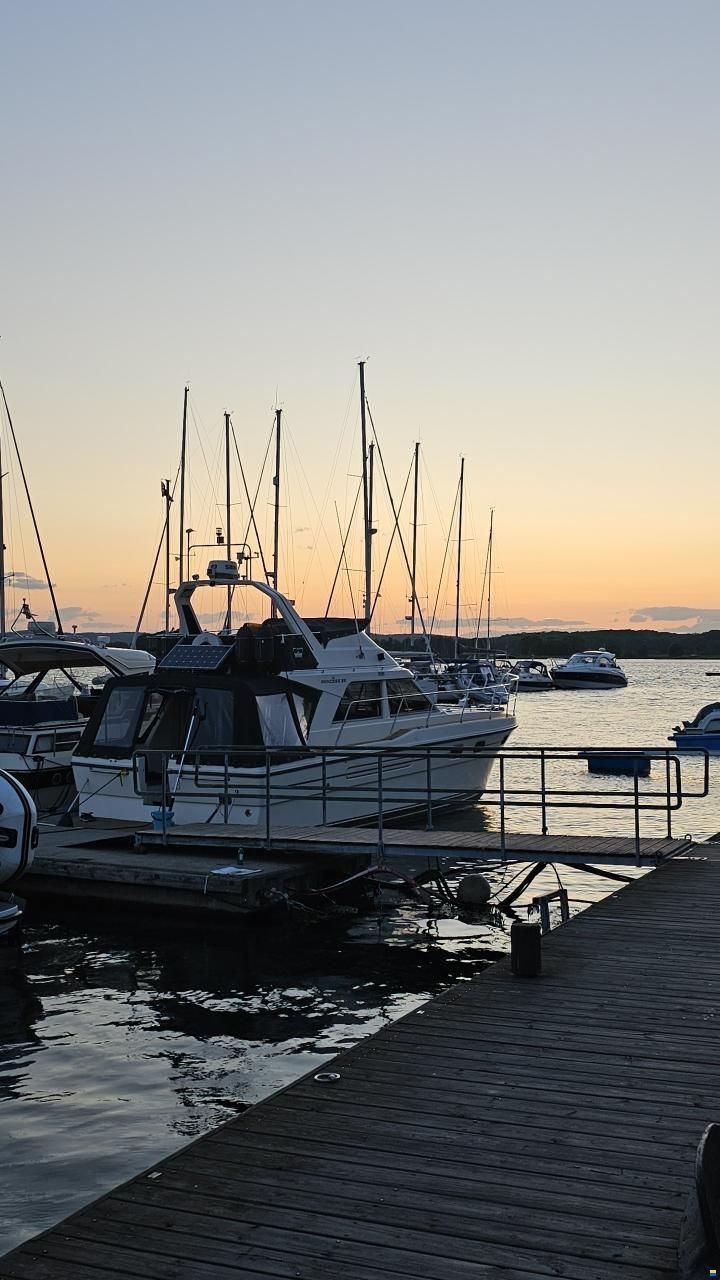 Princess 35